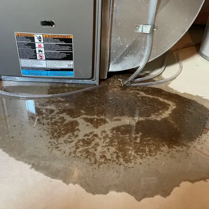 Appliance Leak Cleanup in Pacific County, WA